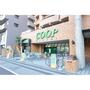 スーパー　ＣＯＯＰ　ＭＩＹＡＧＩ木町店（スーパー）まで211m
