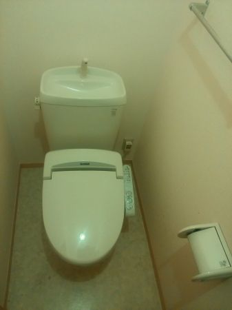 トイレ　この写真の反転タイプになります。