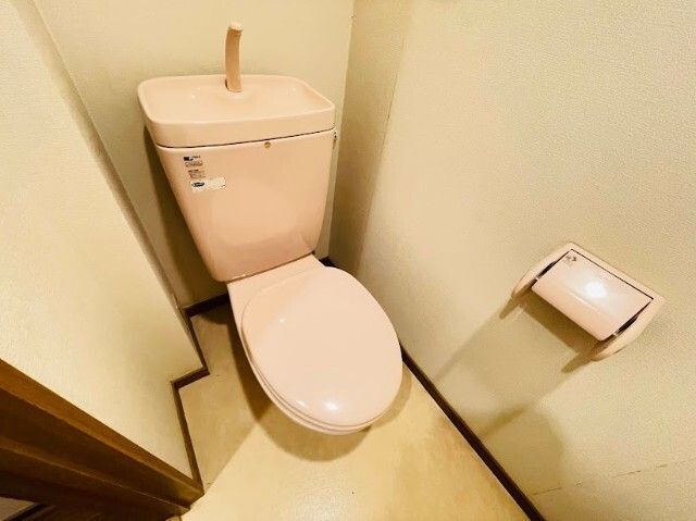 トイレ　写真は別号室です。