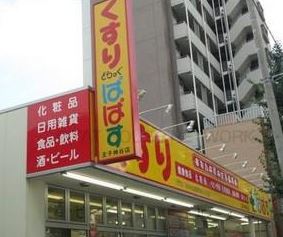ドラックストア　どらっぐぱぱす王子本町店（ドラッグストア）まで316m