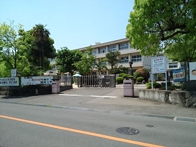 小学校　稙田小学校（小学校）まで700m