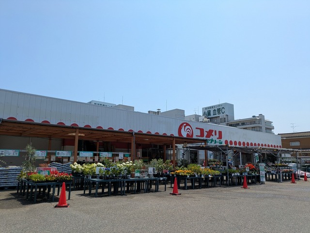 ホームセンター　コメリホームセンター小針店（ホームセンター）まで535m