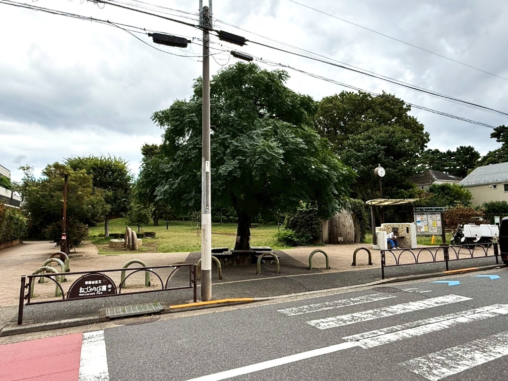 公園　世田谷区立ねこじゃらし公園（公園）まで708m
