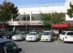 スーパー　コモディイイダ七里店（スーパー）まで1015m