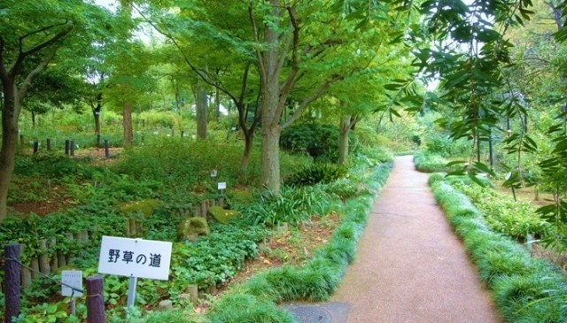 公園　赤塚植物園（公園）まで334m