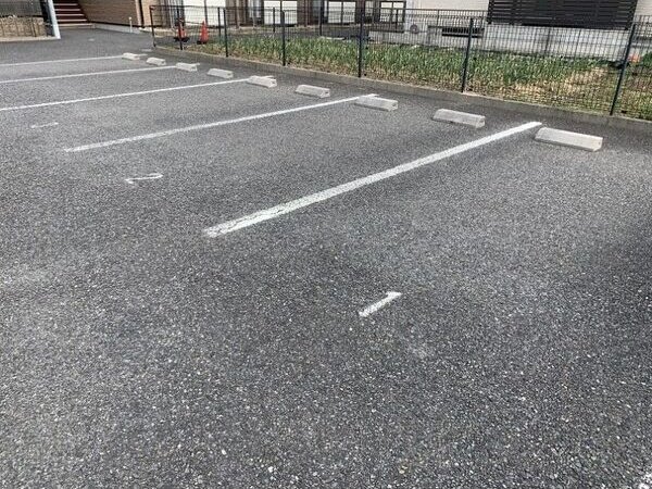 Surplus 桜のその他写真