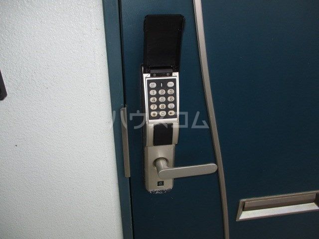 エルーセラのその他写真