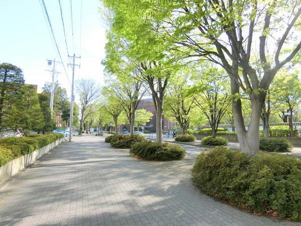 公園　若里公園（公園）まで350m