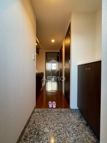 玄関　同マンション別部屋参考写真