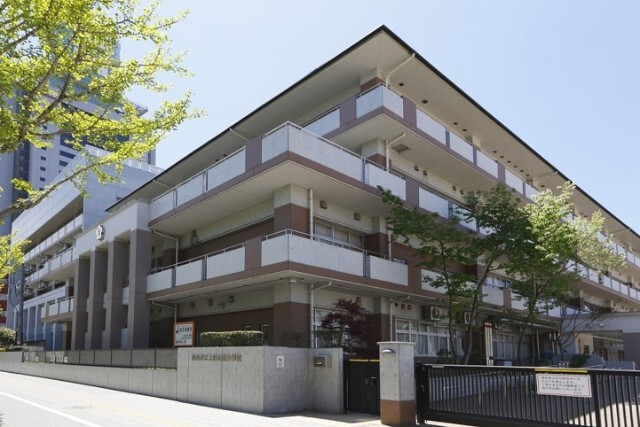 小学校　仙台市立上杉山通小学校（小学校）まで703m