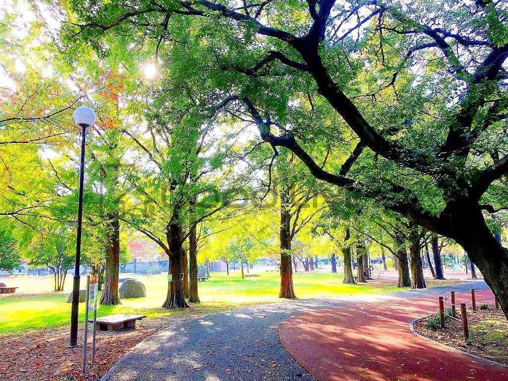 公園　山王公園（公園）まで570m