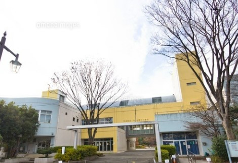 小学校　杉並区立杉並第十小学校（小学校）まで634m