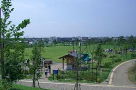 公園　神明公園（公園）まで765m