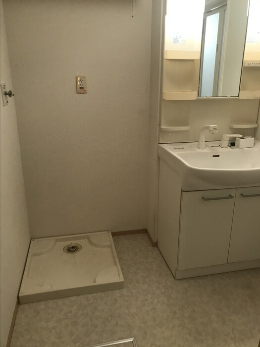 洗面設備　洗髪洗面化粧台/洗濯機置き場