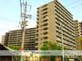 八尾駅より徒歩2分 5階 築36年5ヶ月の賃貸物件