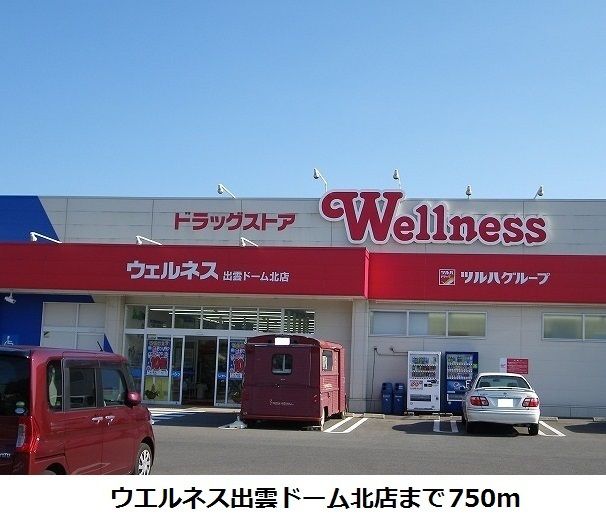ドラックストア　ウエルネス出雲ドーム北店（ドラッグストア）まで750m