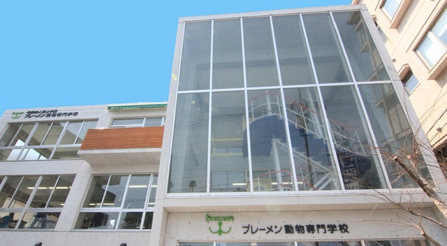 その他　学校法人野上学園神戸ブレーメン動物専門学校（その他）まで211m