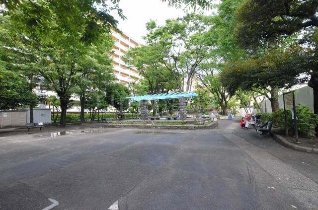 幼稚園・保育園　パール幼稚園（幼稚園・保育園）まで551m