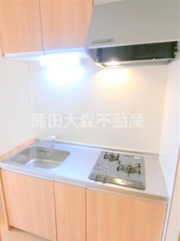 キッチン　2口ガスシステムキッチン