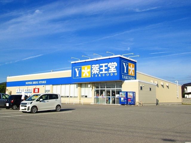 ドラックストア　薬王堂高畠店（ドラッグストア）まで880m