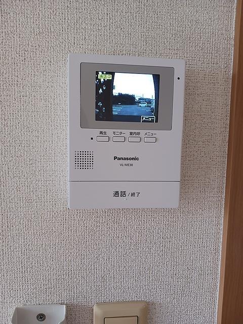 ロックシェルズのその他写真