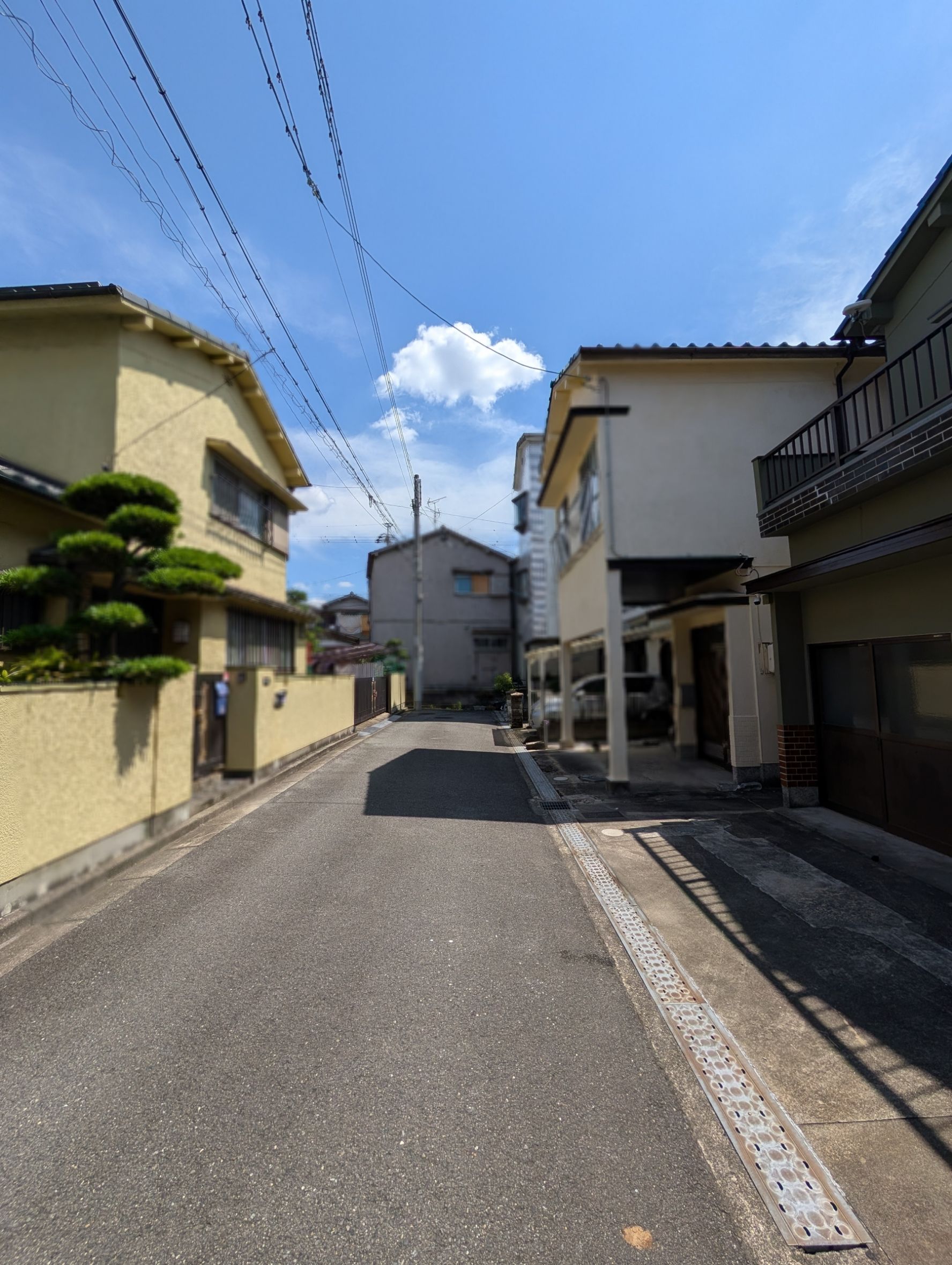 その他　2026年7月３日撮影