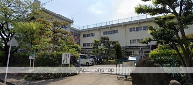 小学校　金丸小（小学校）まで264m