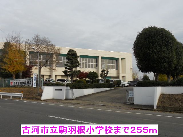 小学校　古河市立駒羽根小学校（小学校）まで255m