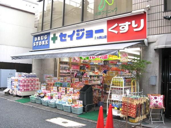 ドラックストア　くすりセイジョー大岡山店（ドラッグストア）まで227m