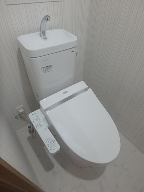 トイレ　ウォシュレットのボタンを勇気を出して。。。