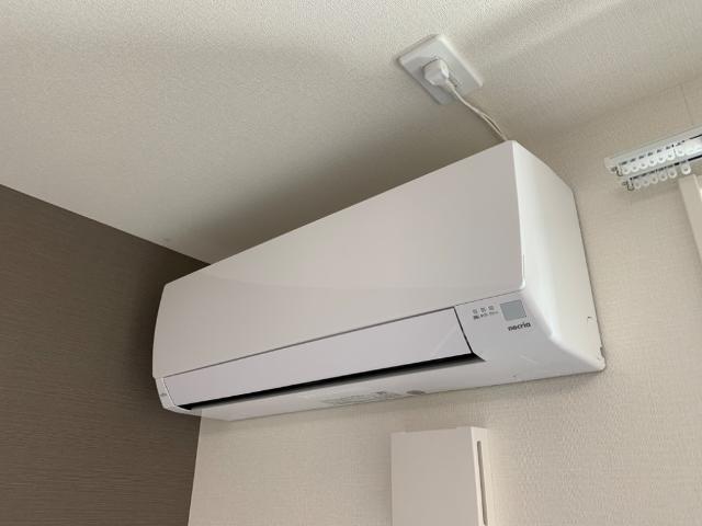 トレニアのその他写真
