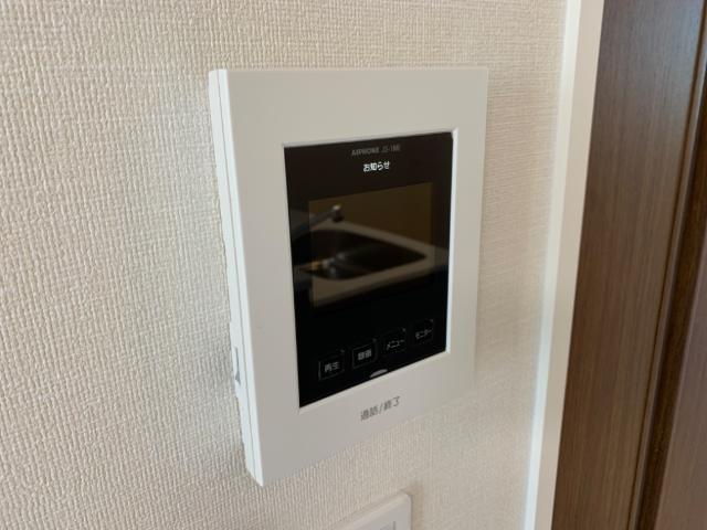 トレニアのその他写真