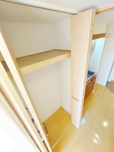 収納　クローゼットタイプの収納