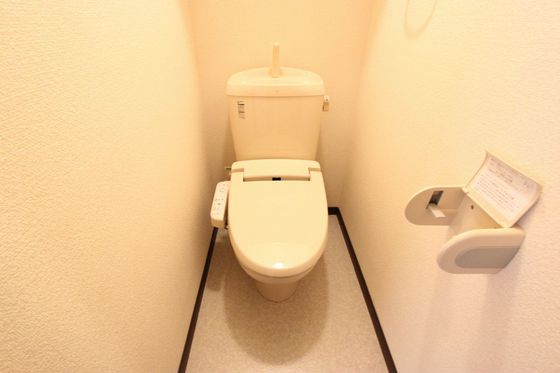 トイレ　※別号室の写真です