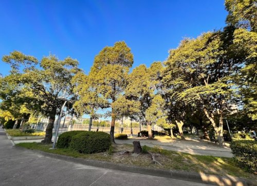 公園　真田山公園（公園）まで457m