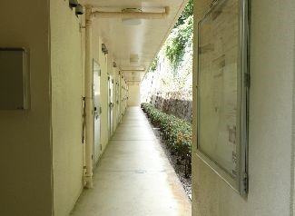 エントランス　現状優先です。