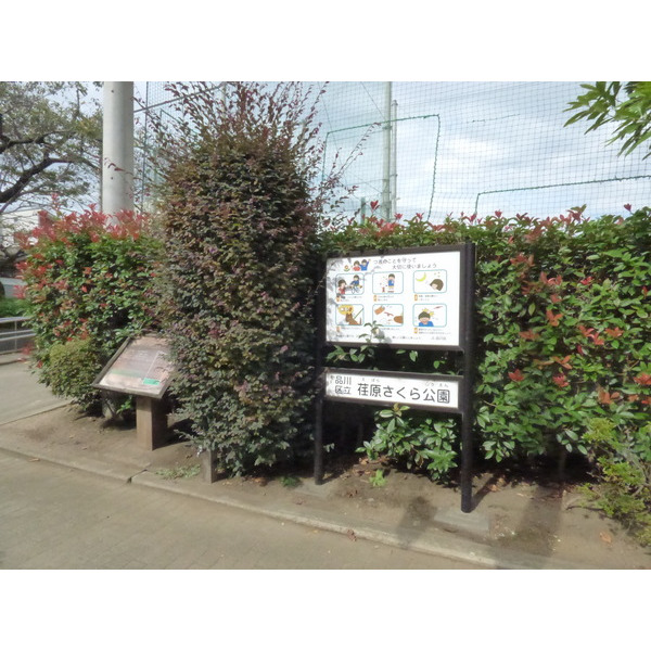 公園　荏原さくら公園（公園）まで300m