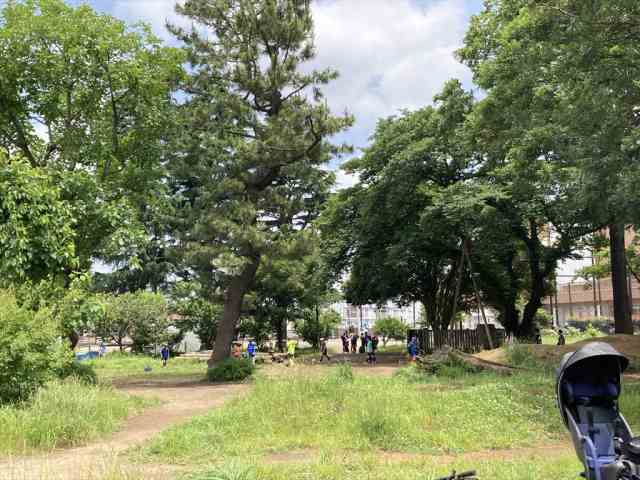 公園　緑野青空こども広場（公園）まで211m