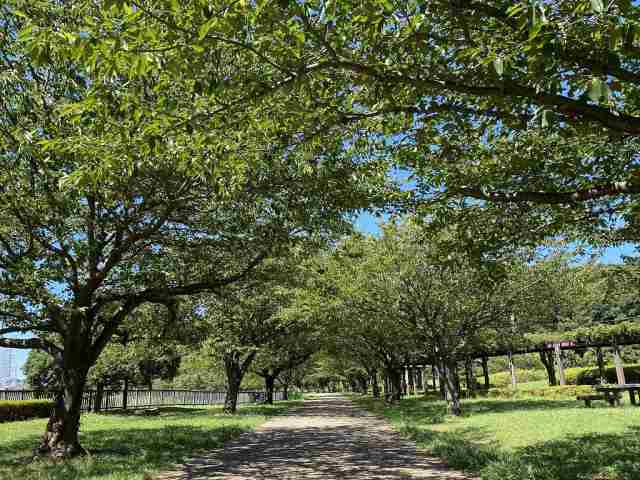 その他　引地川親水公園（その他）まで687m
