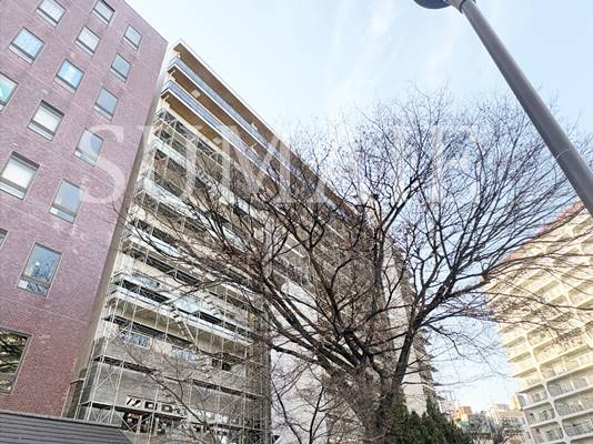 建物外観　外観です☆