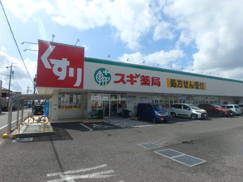 ドラックストア　スギドラッグ 長森店（ドラッグストア）まで351m