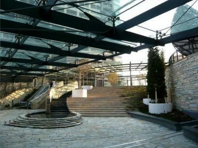 庭　敷地内、植栽