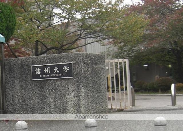 大学・短大　信州大学（大学・短大）まで1168m