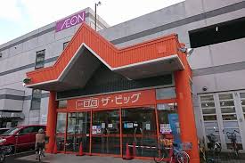 ショッピングセンター　ザ・ビッグ豊平店（ショッピングセンター）まで732m