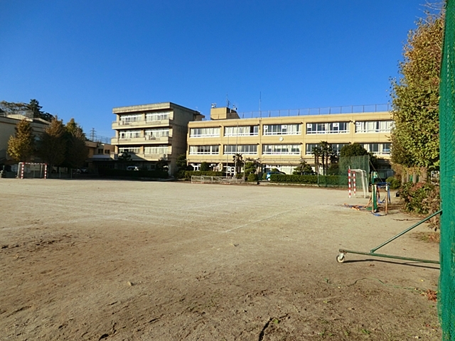 中学校　南部中学校（中学校）まで516m