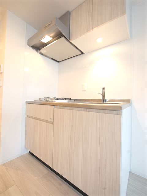 キッチン　システムキッチン（ガス2口コンロ付）収納スペース充実