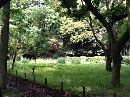 公園　岡本下山小緑地（公園）まで582m