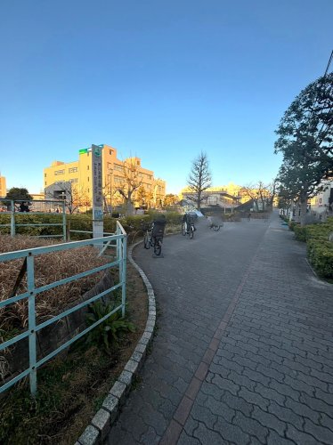 公園　荒川自然公園（公園）まで854m