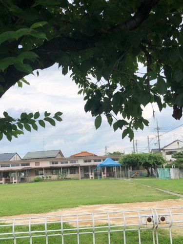 幼稚園・保育園　黒田北保育園（幼稚園・保育園）まで897m
