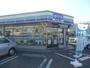 コンビニ　スリーエフ市川宝店（コンビニ）まで136m